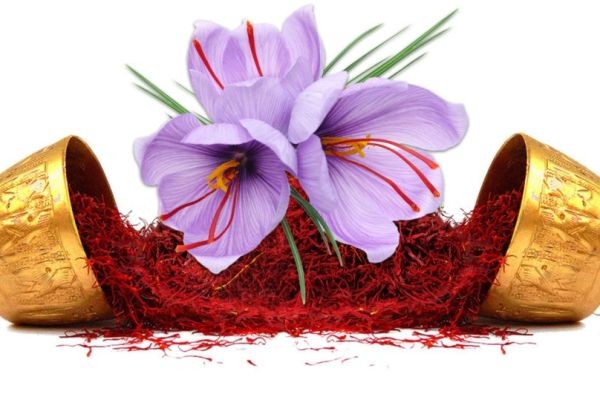 زعفران راز تقویت حافظه و بینایی شما| از مبارزه با آلزایمر تا درمان لکه زرد شبکیه