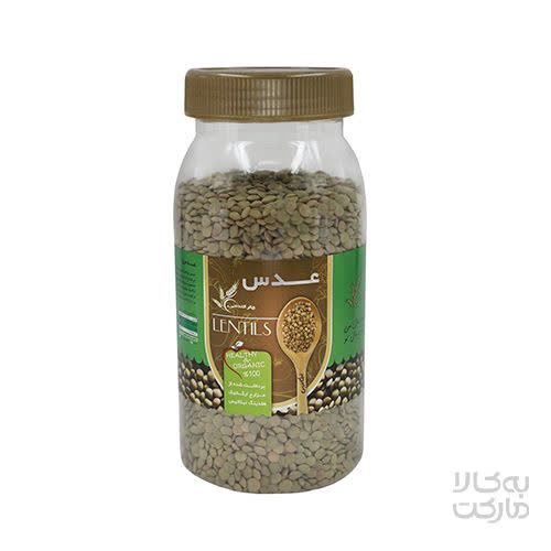 عدس سبز ارگانیک چتر گندمی 700 گرم